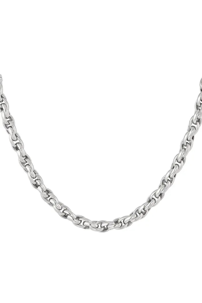 Stainless Steel Necklace Link chain robust, Gold and Silver