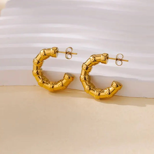 316L Stainless Steel Earrings in Golden Color